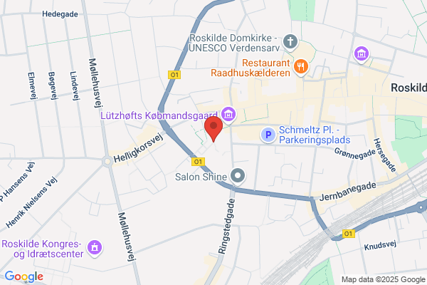 SFO Snarren, Absalons Skole