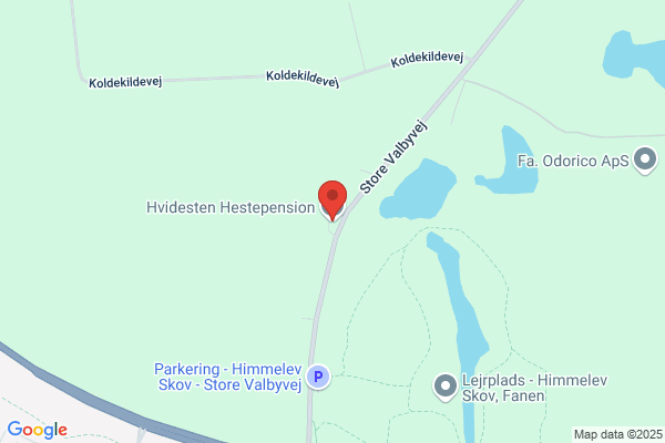 Bakkebo Hestepension / Udlejning