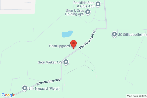 Søndergaard Hestepension