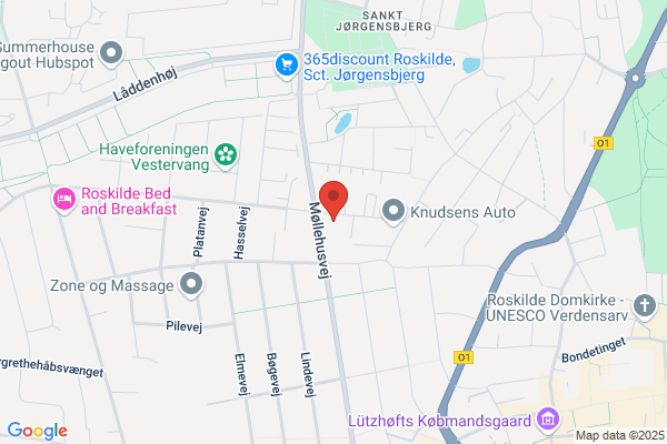 Fotoklubben Negativ Roskilde