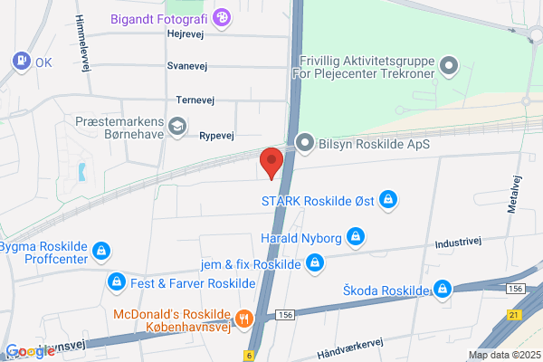 Roskilde Vikinge Vinterbadere