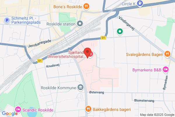 Bloddonorerne i Roskilde
