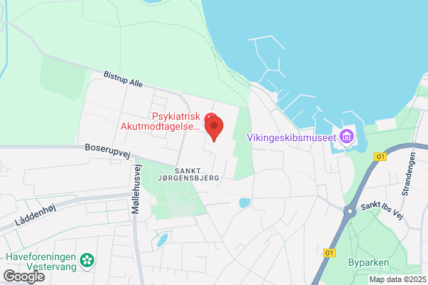 Psykiatriordningen
