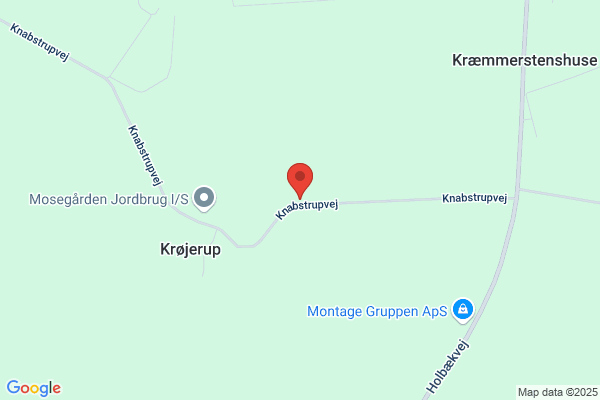 Borch, Malerfirmaet Kim ApS