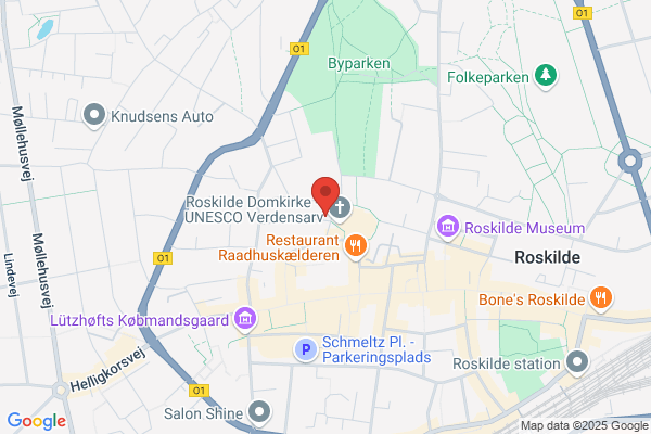 Roskilde Amts Symfoniorkester