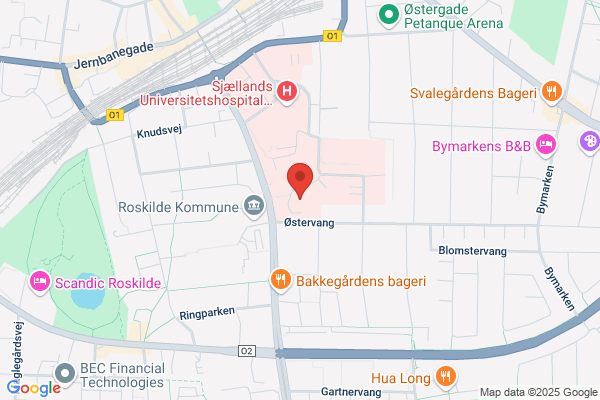 Hjerneskadecentret