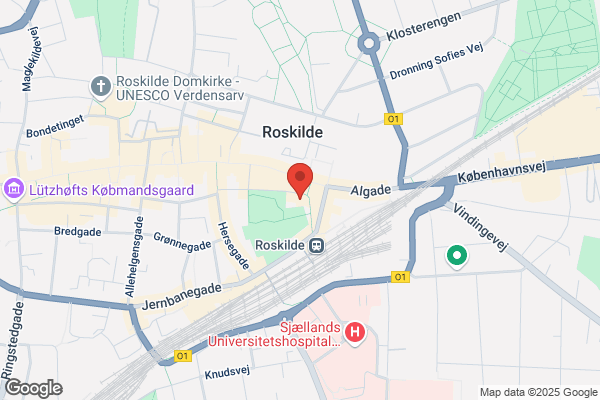 Roskilde Øjenklinik, Jesper Thulesen