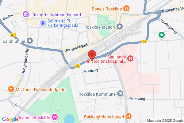 Hellerup Finn