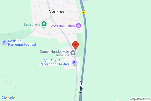 Vor Frue Idrætsforening