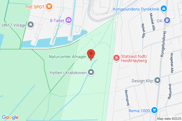 Naturskolen