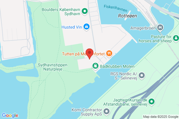 Statens Bilinspektion