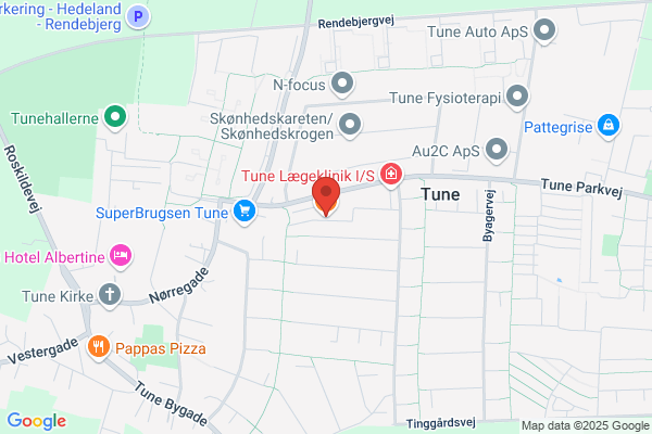 Tune Pizza og Burgerbar