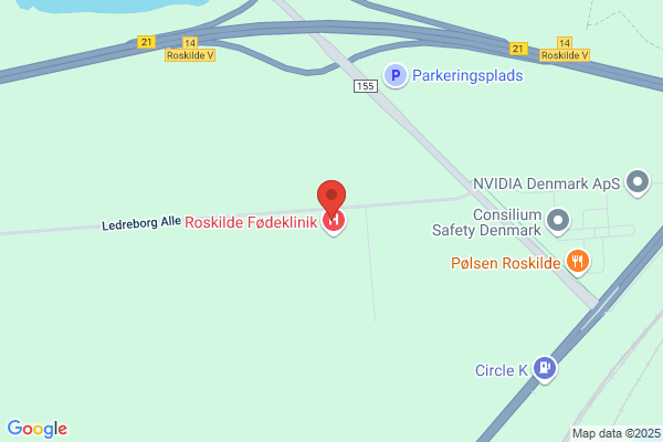 Bjarne Rent Nok (Bjarne Hans Ole Andersen)