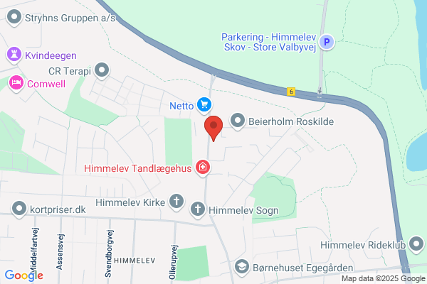 Himmelev Revisorerne