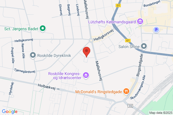 Ungdommens Hus Skolefritidsordning