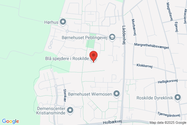 Danske Spejderkorps, Det Bjarke Gruppe