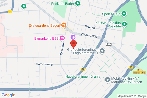 Ternehavens Badmintonklub