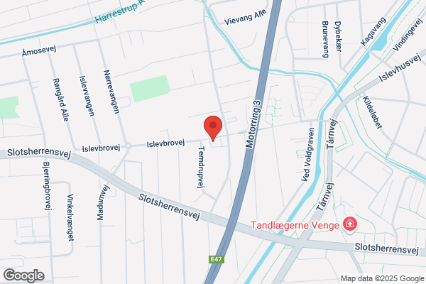 Torvekonditoriet