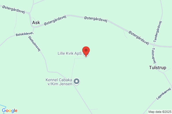 Kvik Kloak