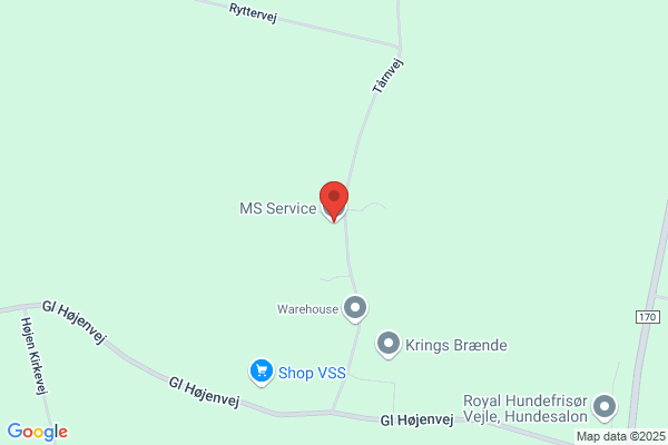 MS-Service