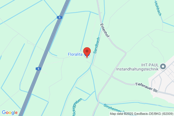 Floralisterne