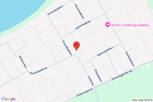 Grundejerforeningen Borrevejle