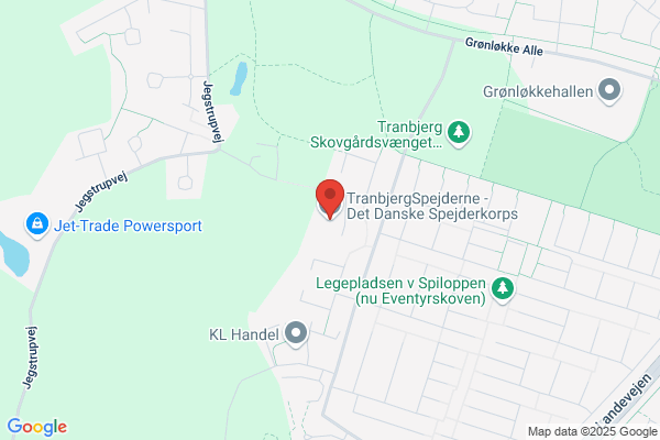 Danske Spejderkorps Hareskov Division, Det