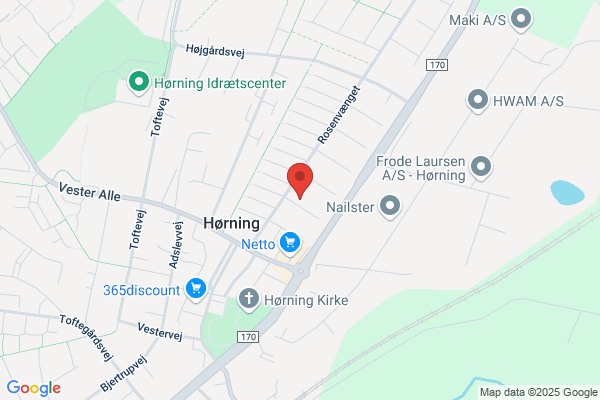 Den Vietnamesiske To-Kulturelle Forening