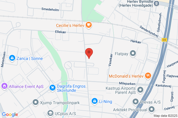 Herlev Ny Kunstforening