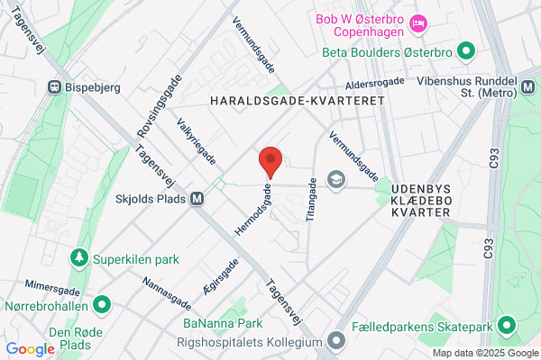 Polakker i Danmark, Foreningen af