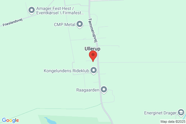 Lindinger, Tine