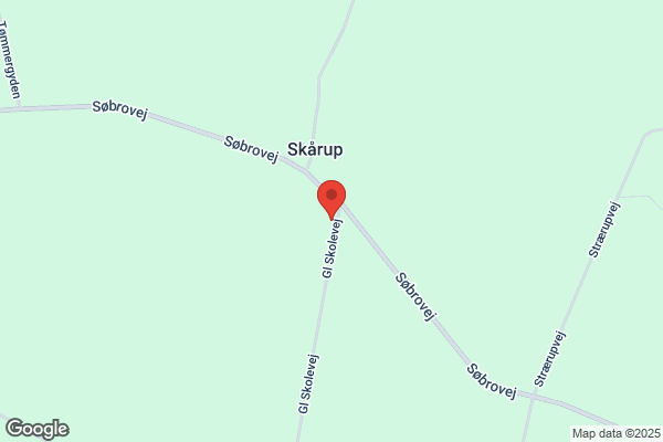 Hans A Skaarup ApS