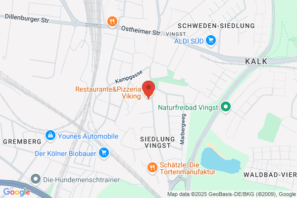 Viking Pizzabar & Cafe