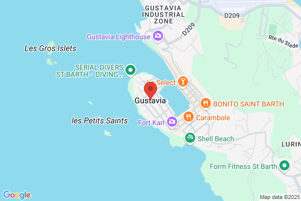 Gustavi