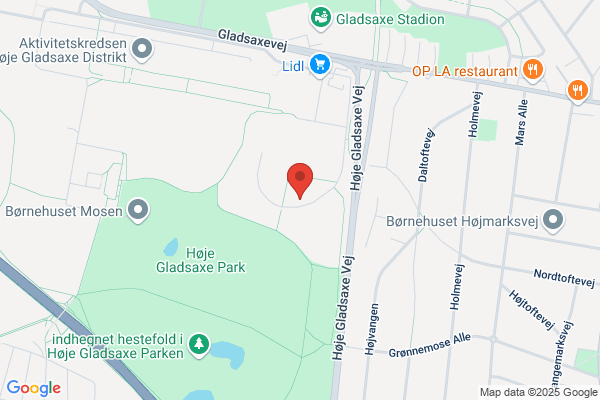 Gladsaxe Tai Chi