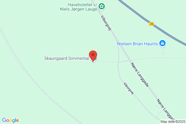 Nielsen Klaus