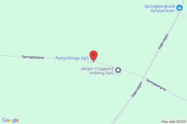 Partyvikings ApS