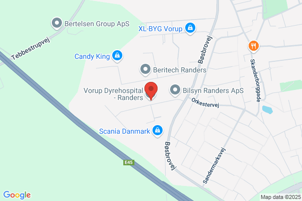 Vorup Dyrehospital - Randers