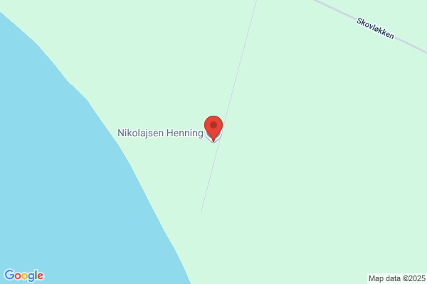 Nicolaisen, Henning