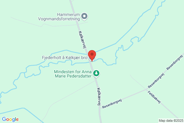 Fjederholt, Jan