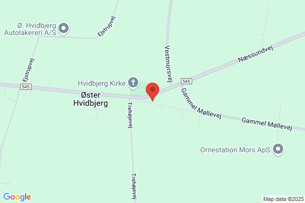 Lægerne i Ø. Hvidbjerg