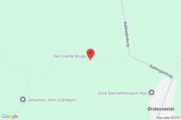 Gamle Brugs, Den