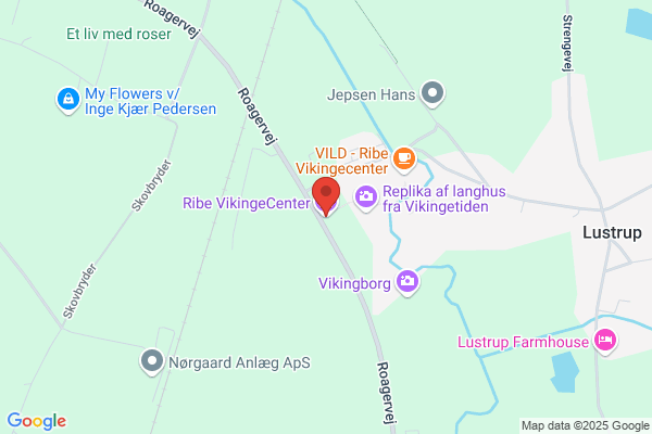 Ribe VikingeCenter