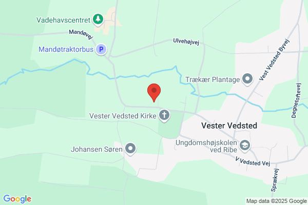 Socialdemokratiet i Ribe Kommune