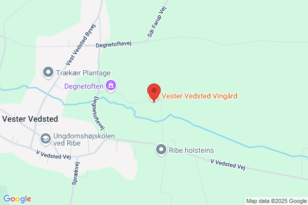 Venstre, Egebæk-Vester Vedsted