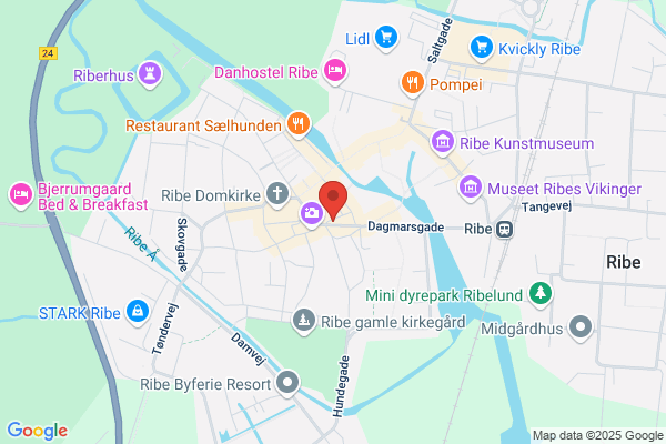Venstre, Ribe