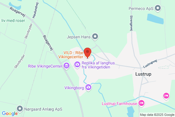 Vildanden