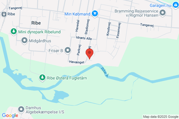 KFUM-spejderne, Ribe-Hviding gruppe Sydjydske division