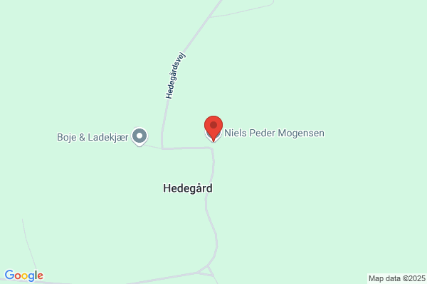 Bodilsen, Mogens