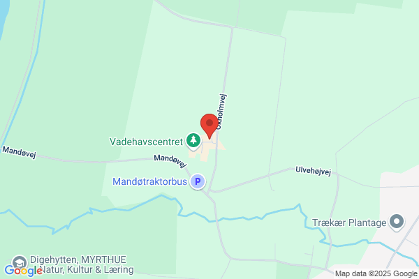 Mandø Bussen